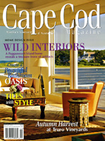 Cape Cod & Islands HOME "Windswept Seascape"