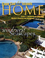 Cape Cod & Islands HOME "Windswept Seascape"