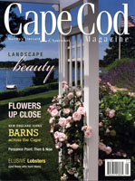 Cape Cod & Islands HOME "Windswept Seascape"